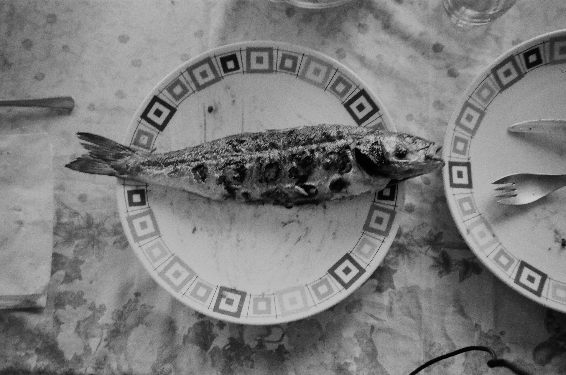 Fish supper
